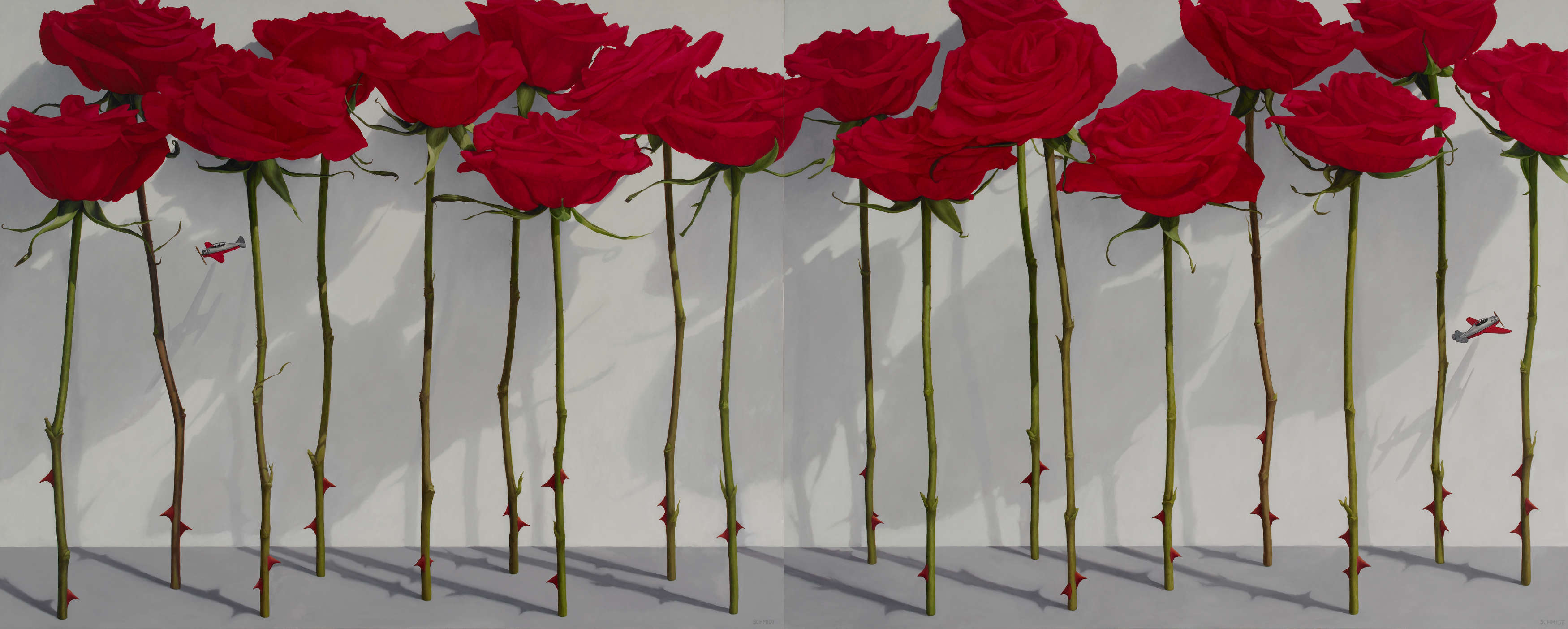 18 red roses standing, stems and thorns, tiny silver and red airplanes flying