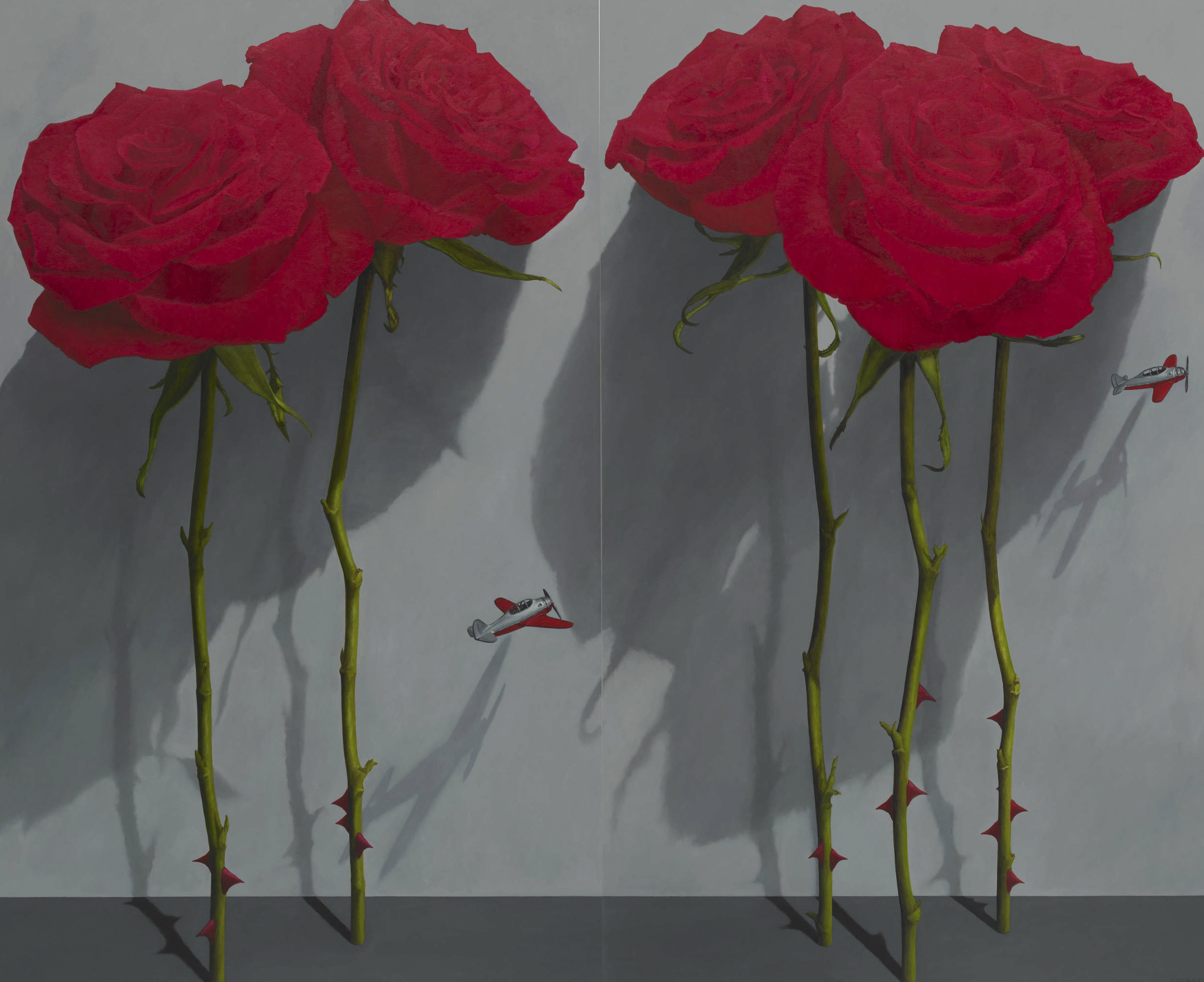 5 giant red roses, dark gray background with shadows, stems and thorns, 2 tiny red and silver airplanes flying