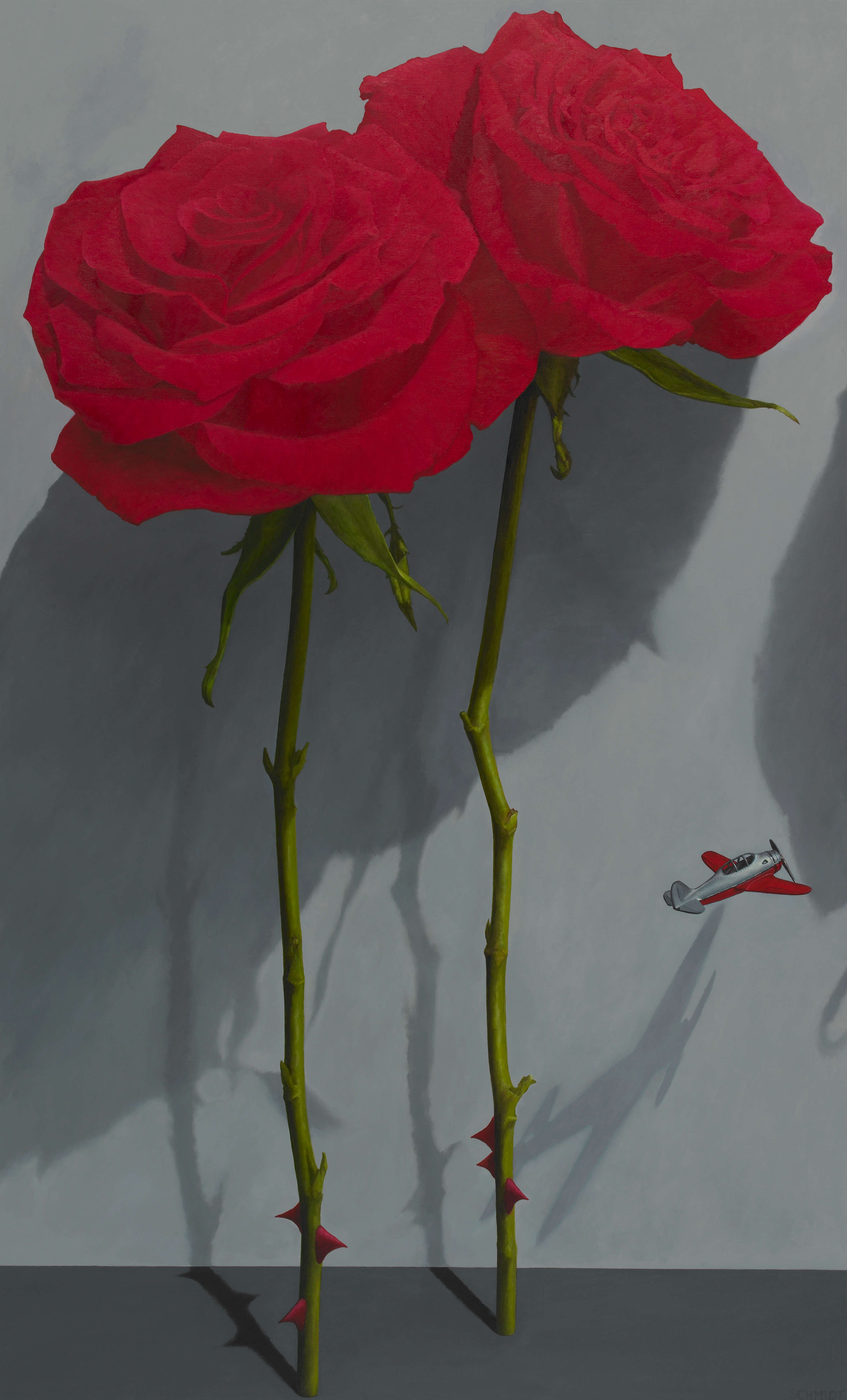 2 giant red roses, stems and thorns, dark gray background with shadows, 1 tiny red and silver airplane flying