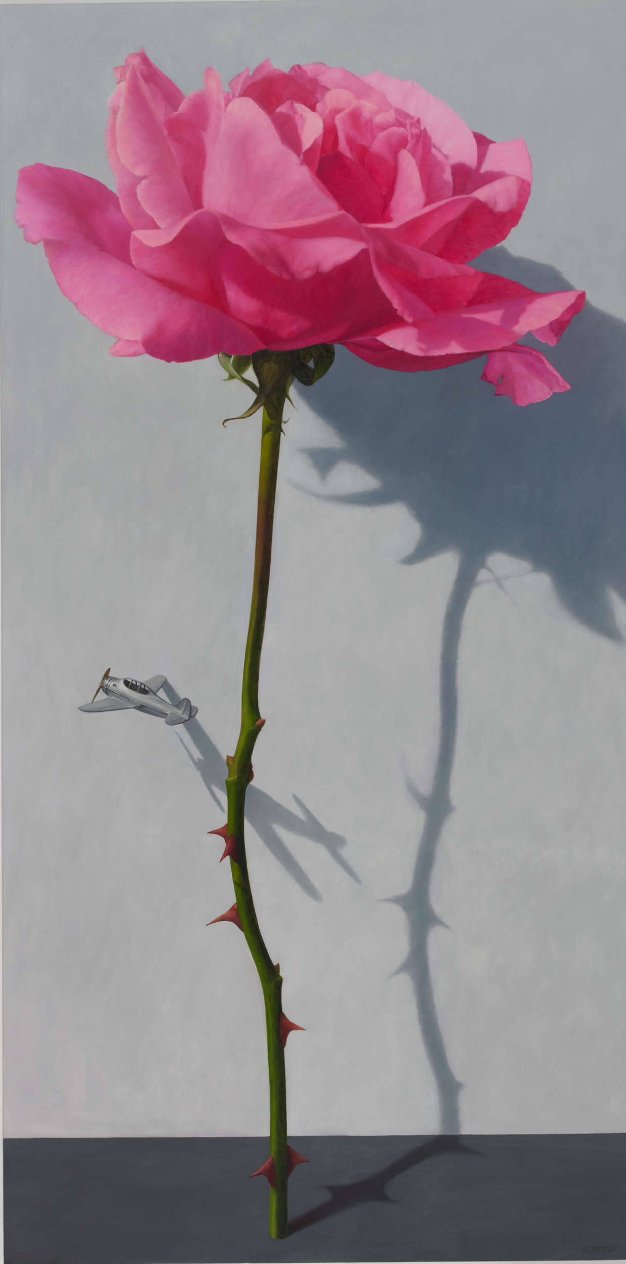 Single pink rose standing, stems and thorns, white wall with shadow, one tiny silver airplane flying 