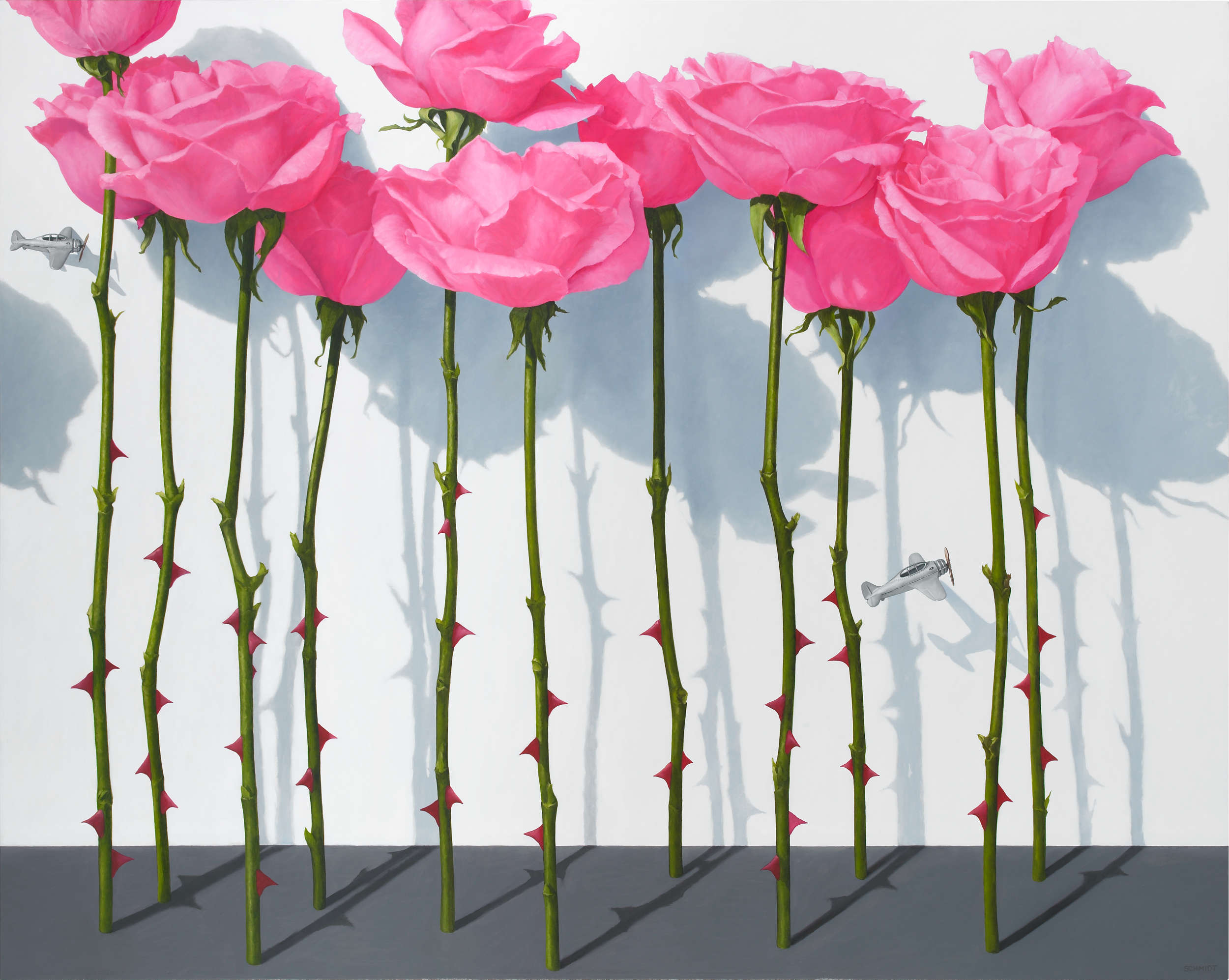 11 pink roses standing, stems and thorns, white wall with shadows, tiny silver airplanes flying