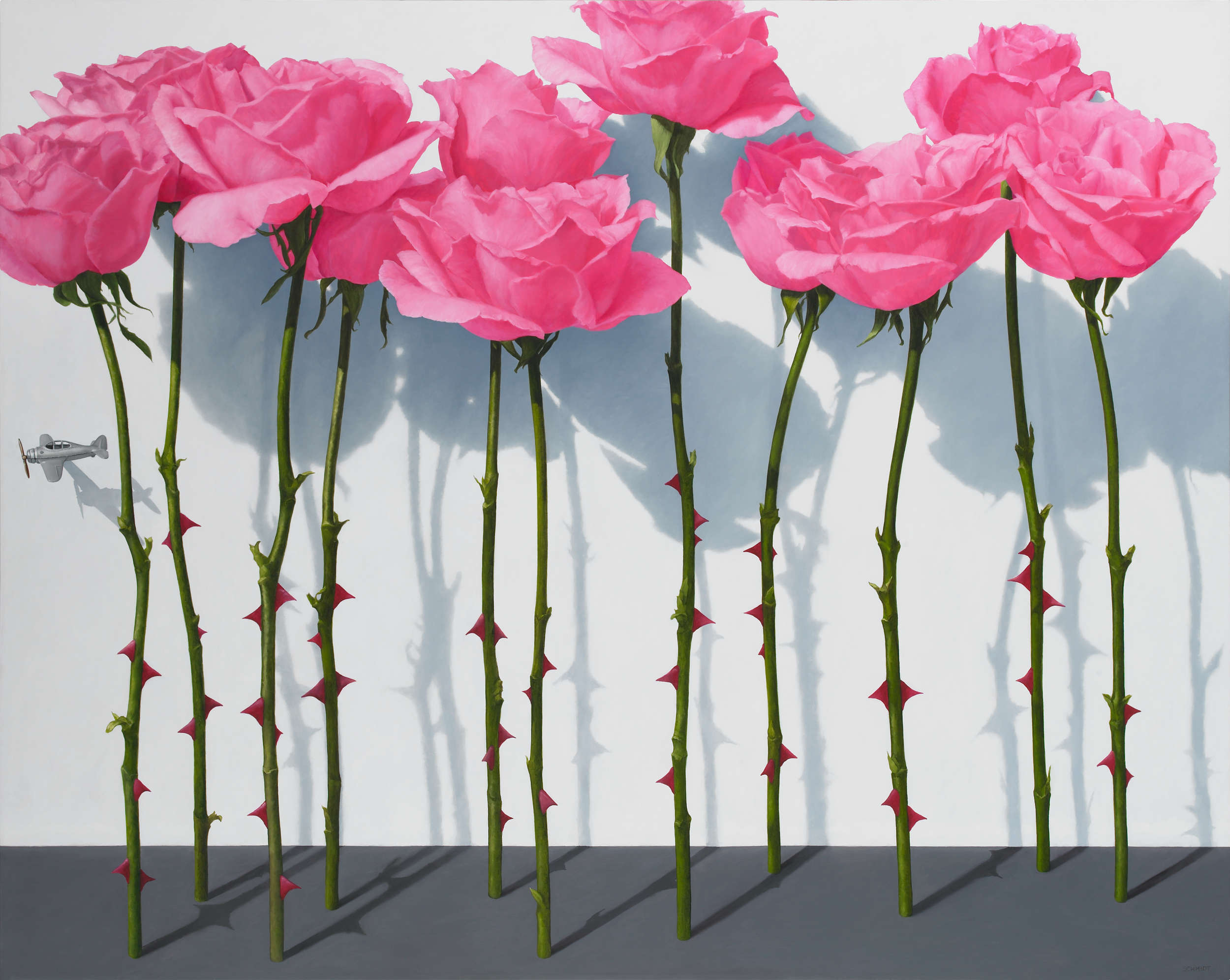 11 pink roses standing, stems and thorns, white wall with shadows, tiny silver airplanes flying