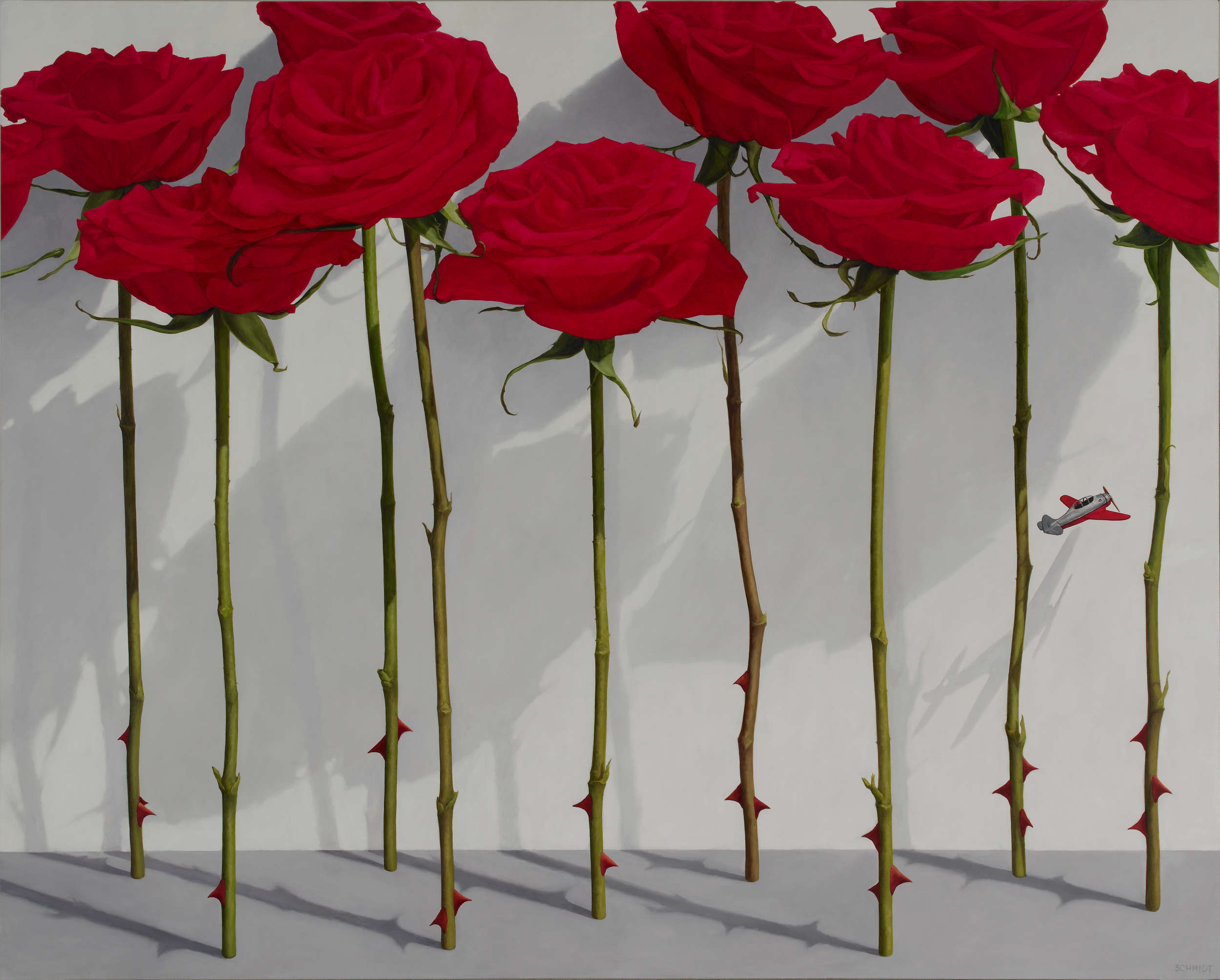 9 red roses standing, stems and thorns, white wall with shadows, tiny silver and red airplane flying