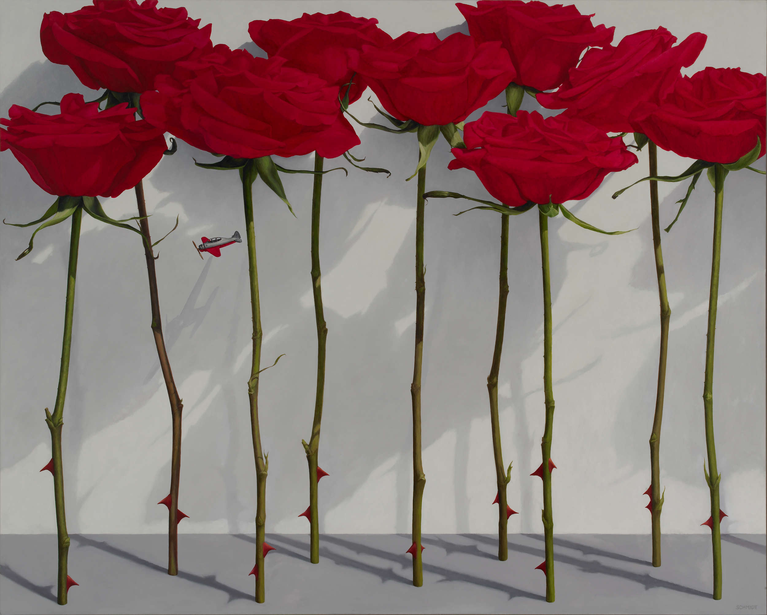 9 red roses standing, stems and thorns, white wall with shadows, tiny silver and red airplane flying