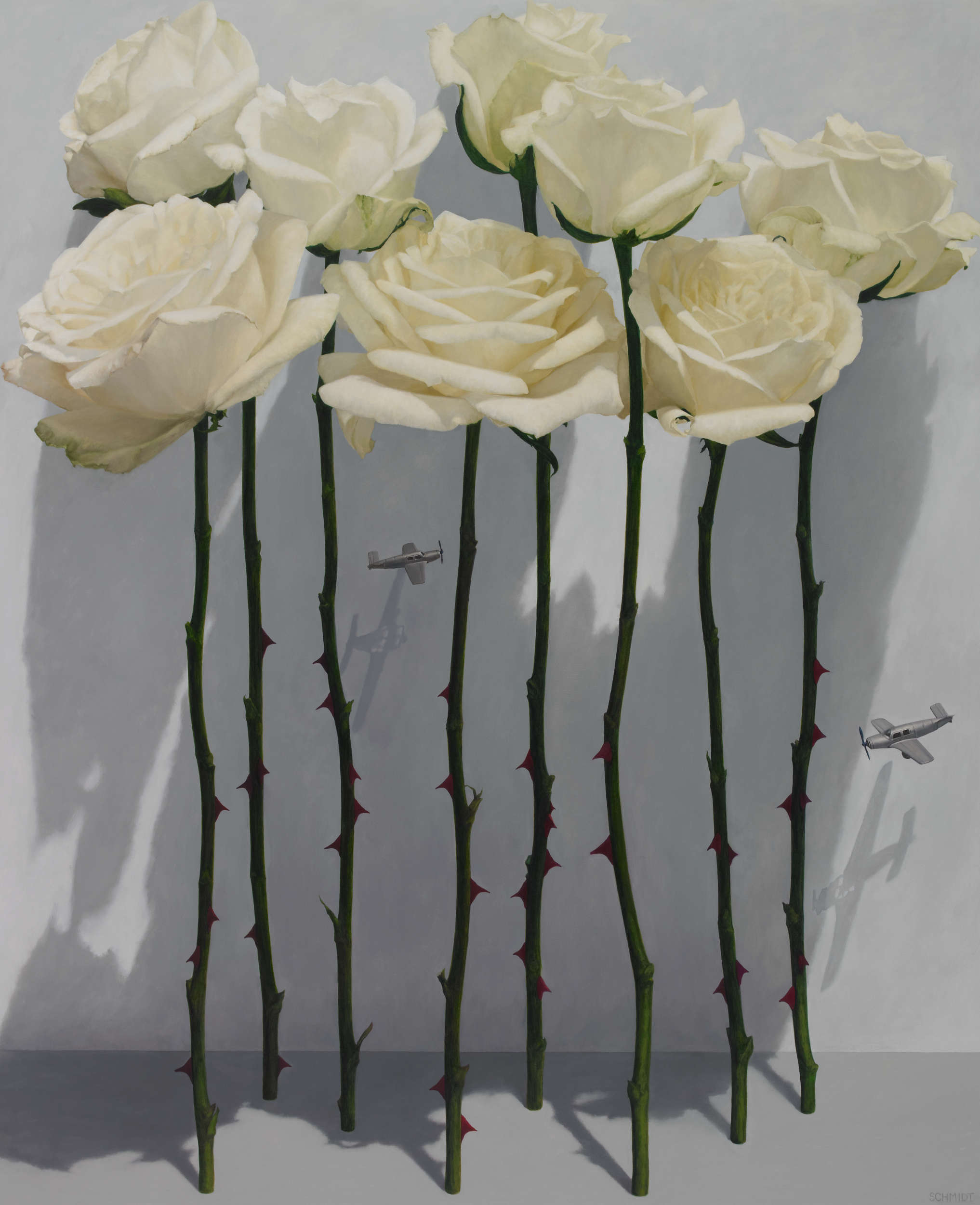 8 white roses standing, stems and thorns, light gray wall with shadows, 2 tiny airplanes flying