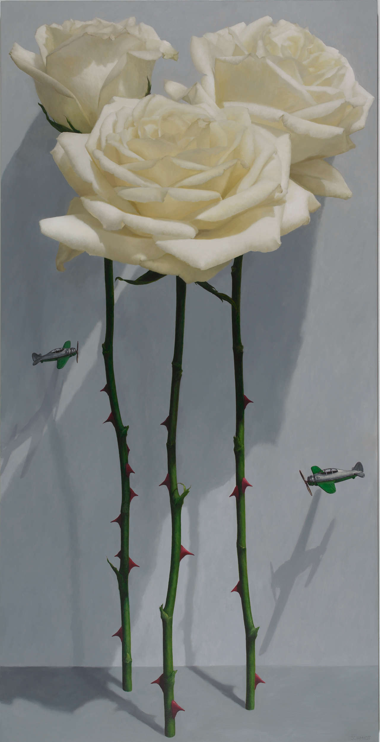 white roses standing, stems and thorns, light gray wall with shadows, tiny green and silver metal airplane flying