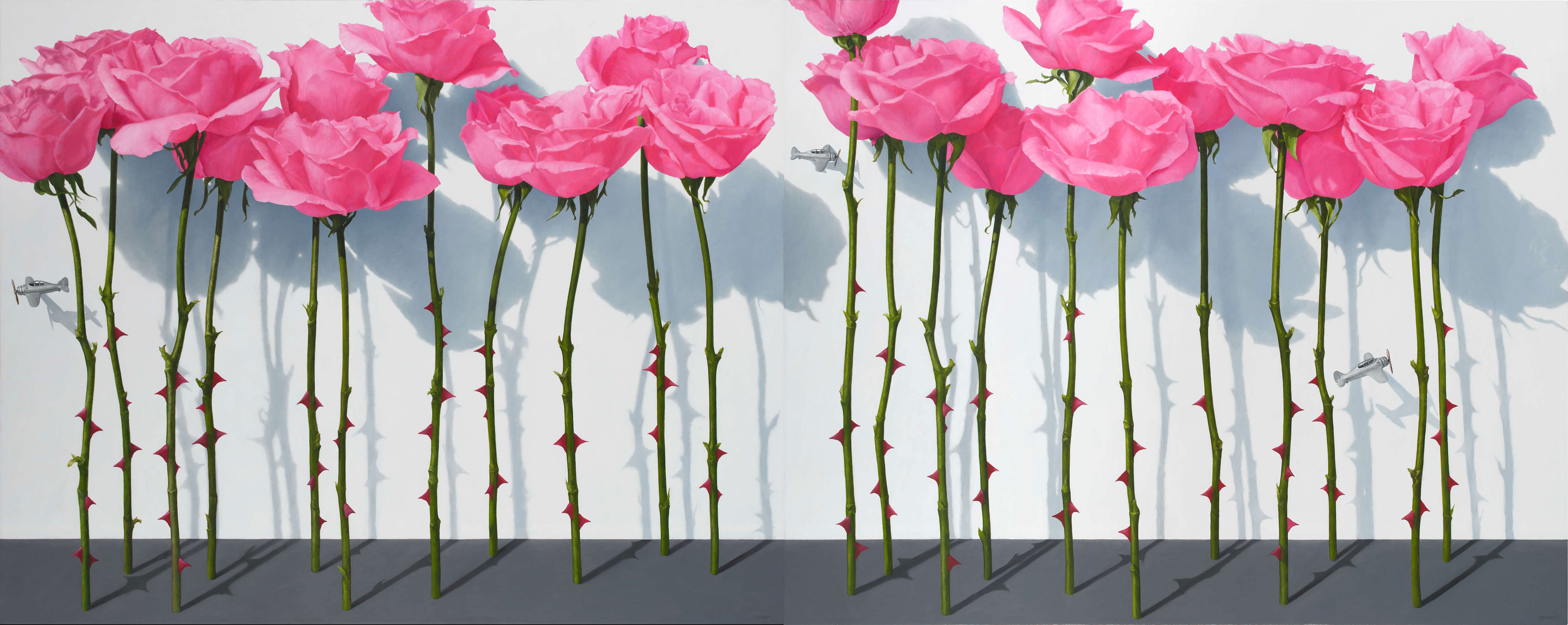 22 pink standing roses, stems and thorns, white wall with shadows, 3 tiny silver airplanes flying