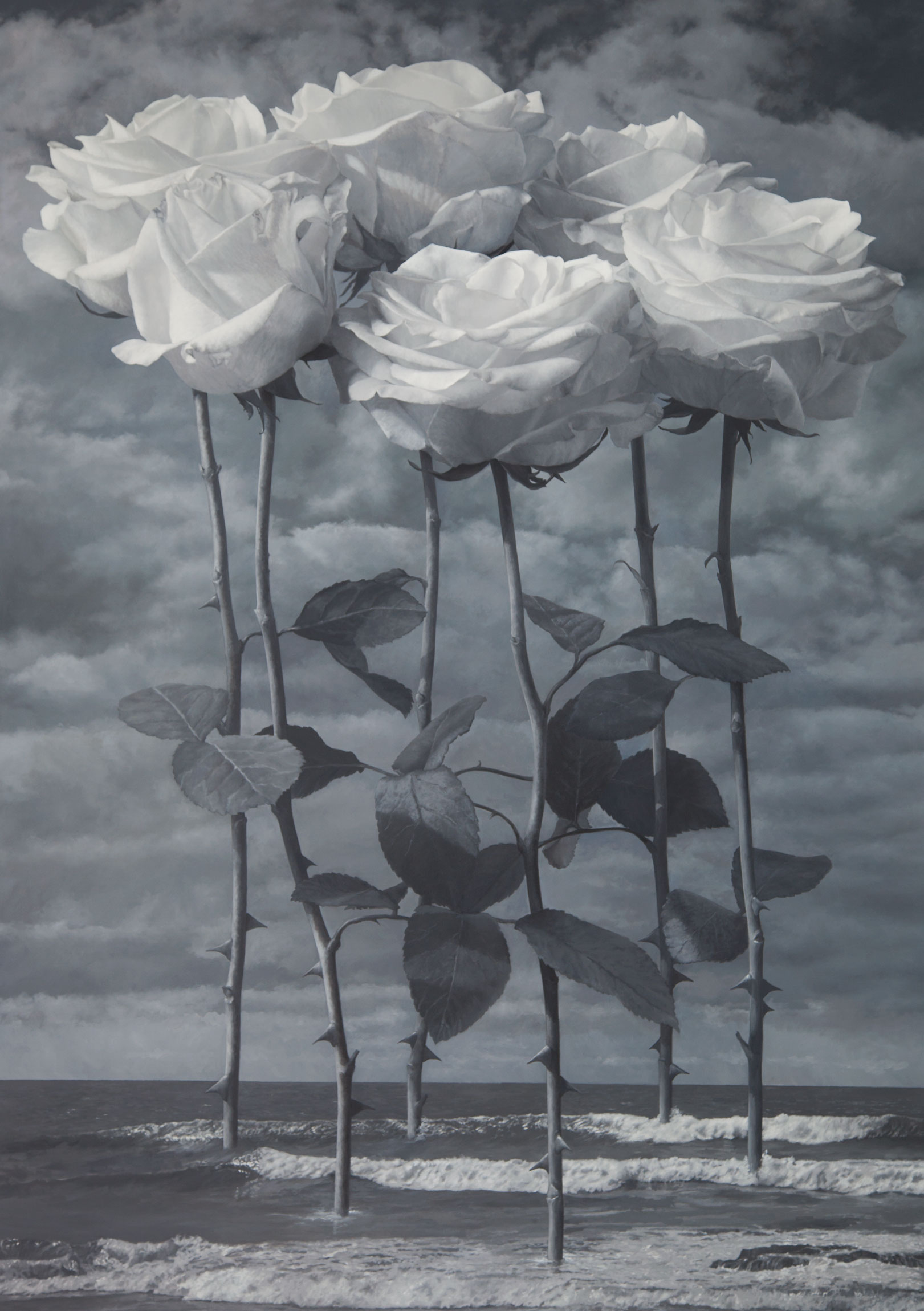 Six white roses with sea