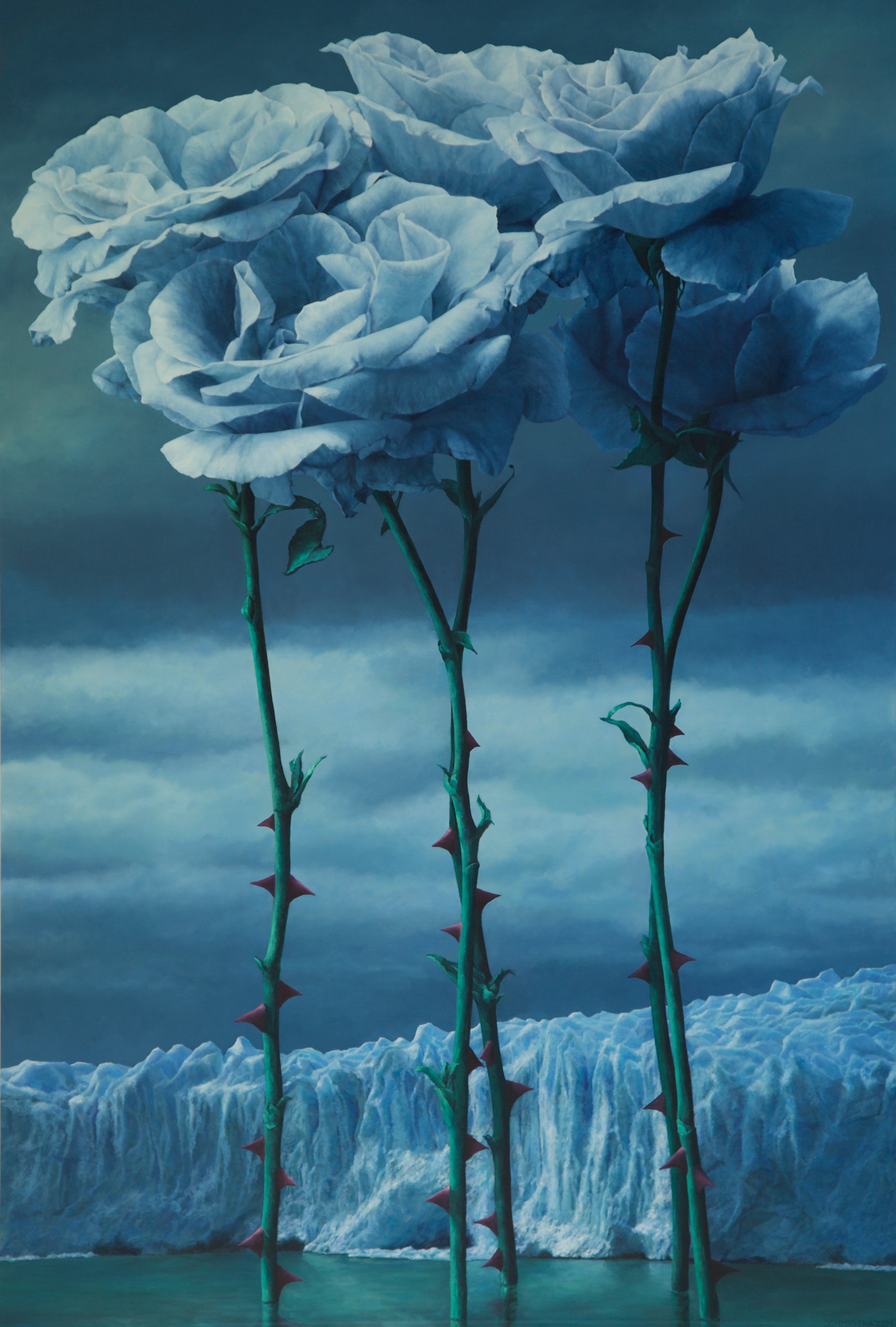 icy green blue glacier iceberg 5 green blue very white roses green sea