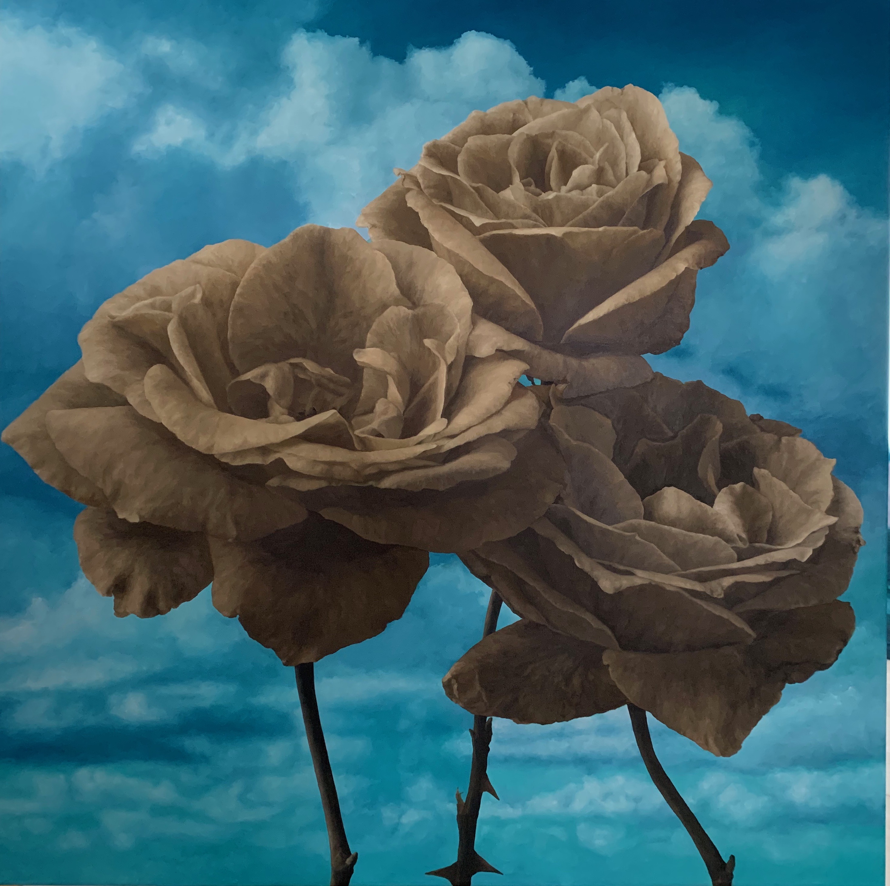 3 sepia roses with green blue sky 