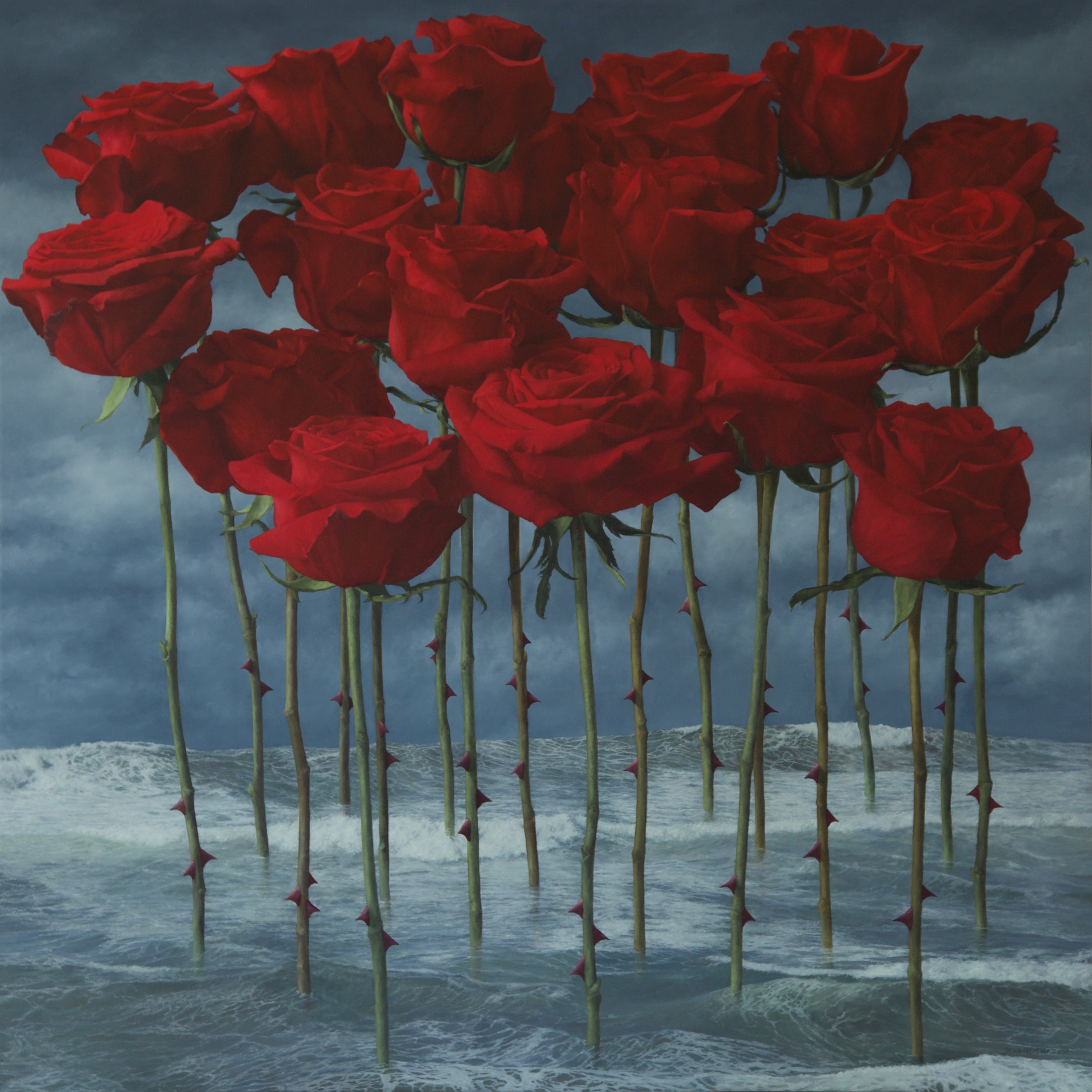 19 red roses tumultuous sea green