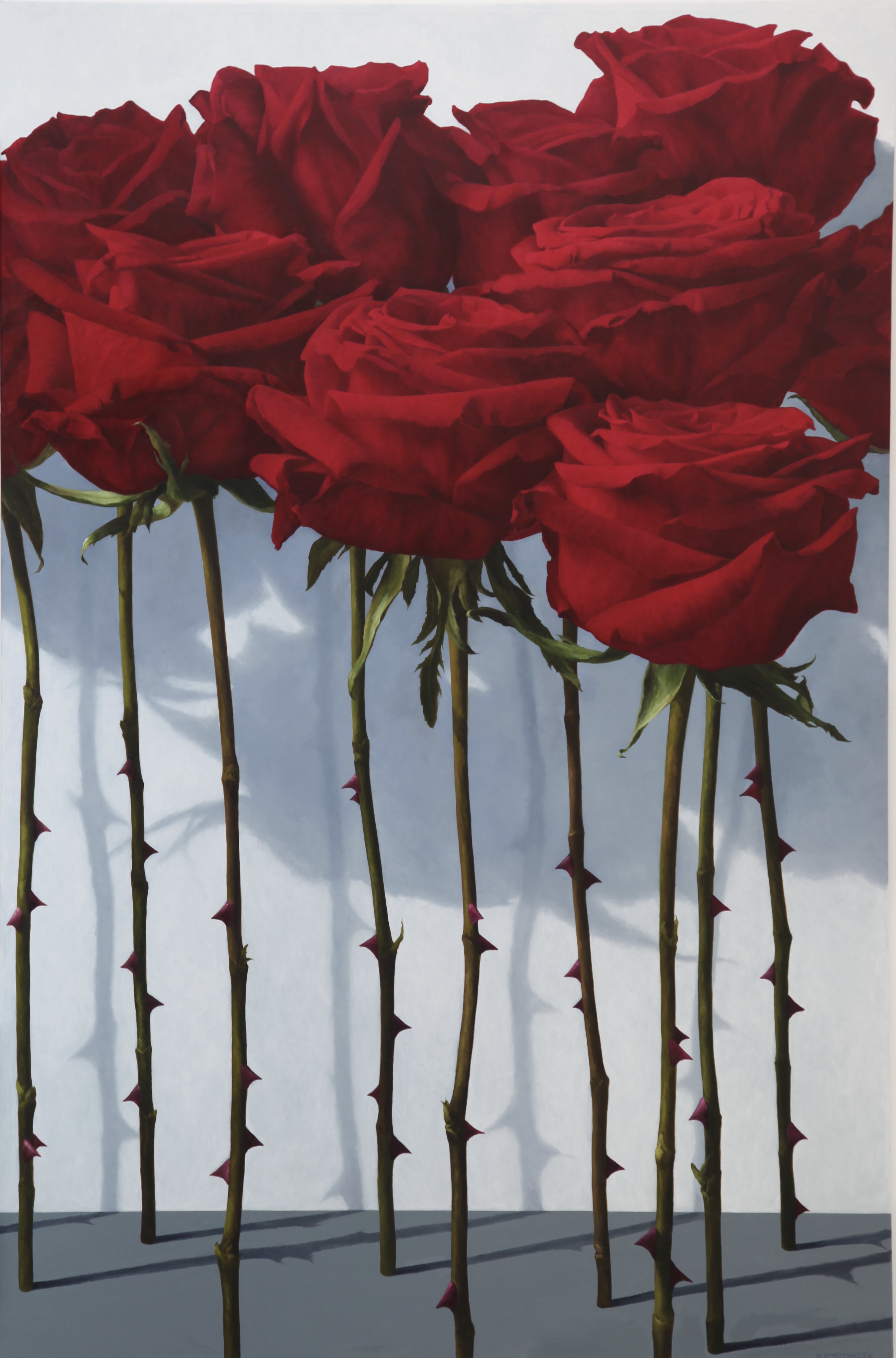 left panel of diptych red roses with shadows in front of white wall