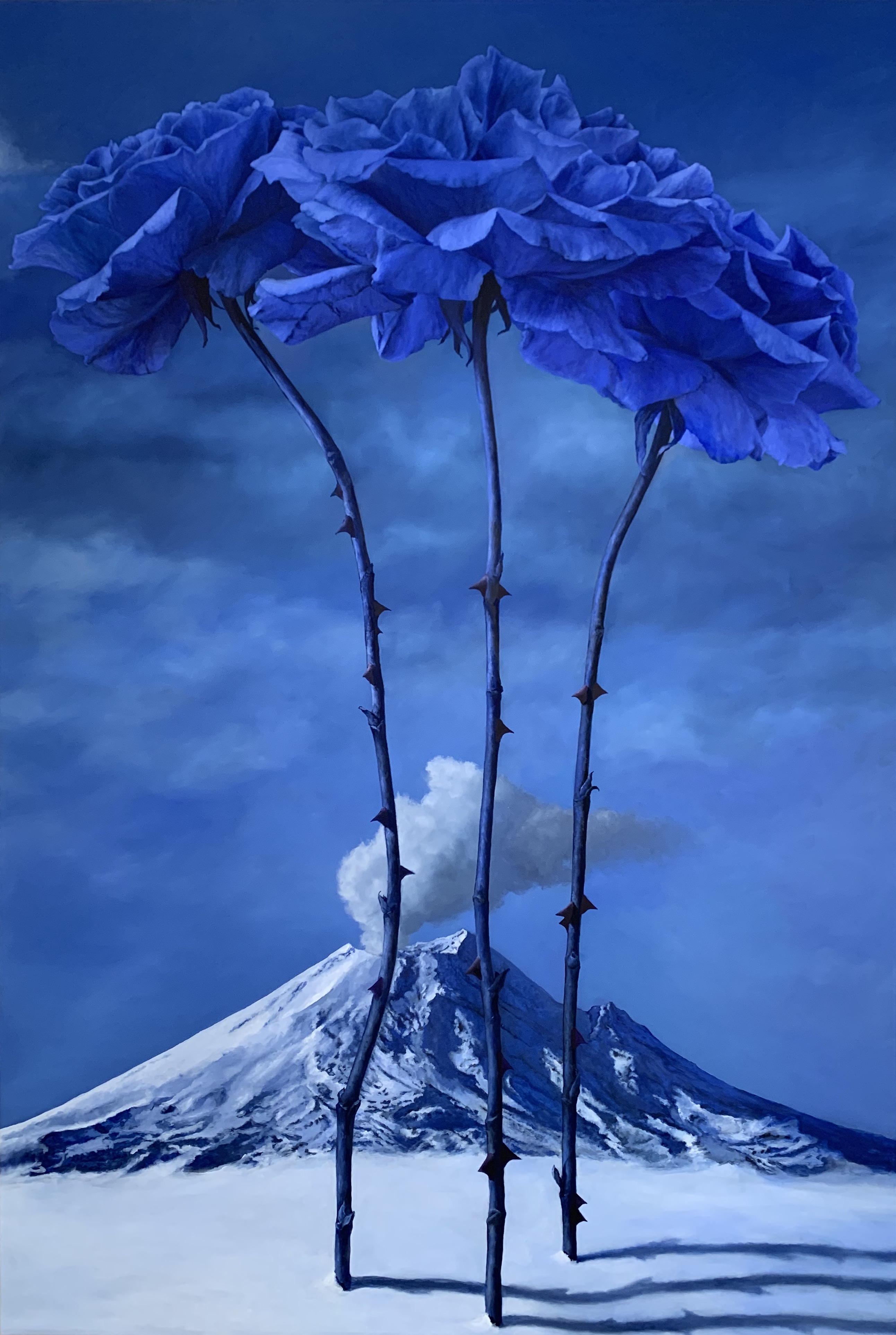 3 blue roses with snow and volcano