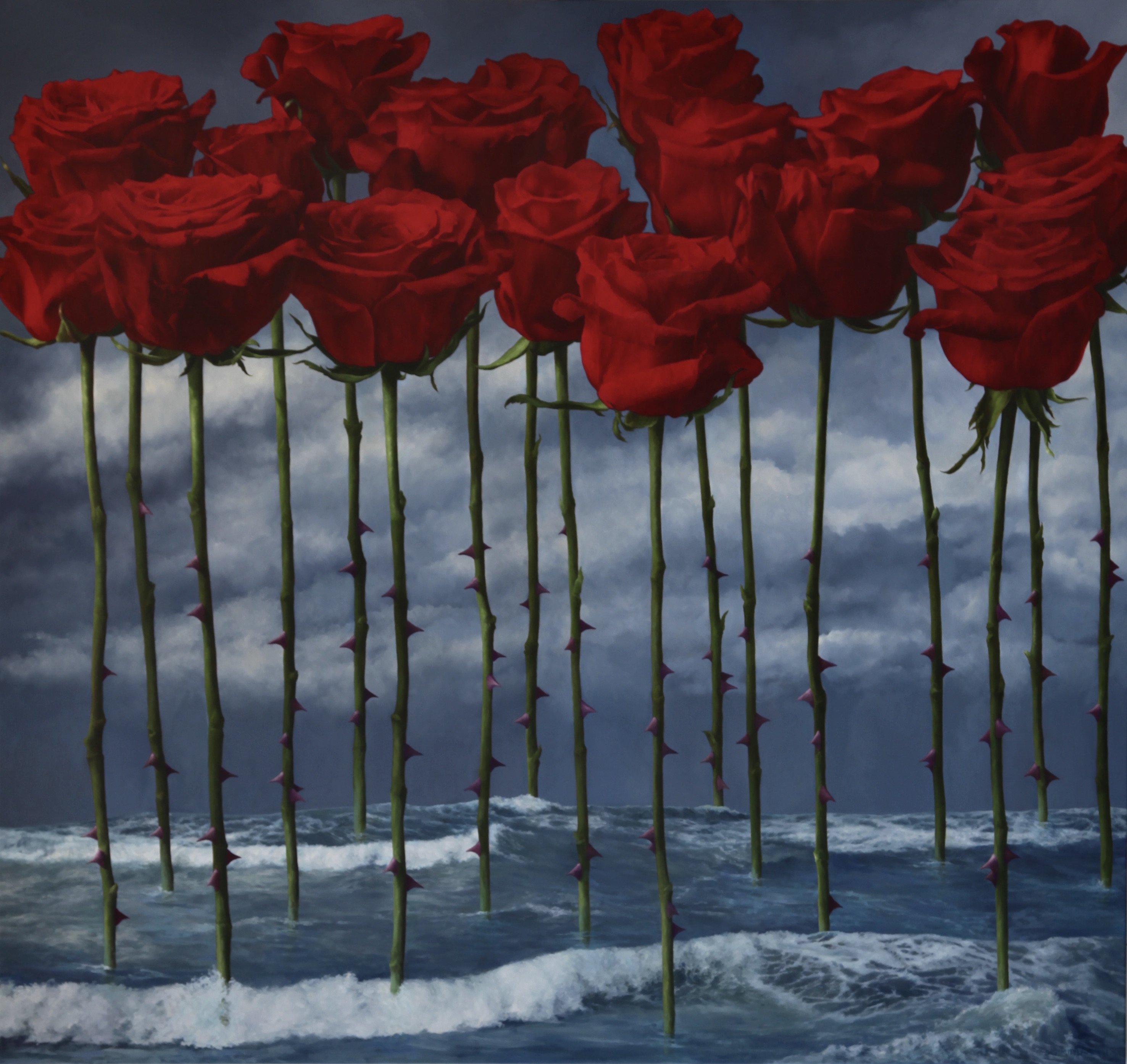 17 red roses with ocean