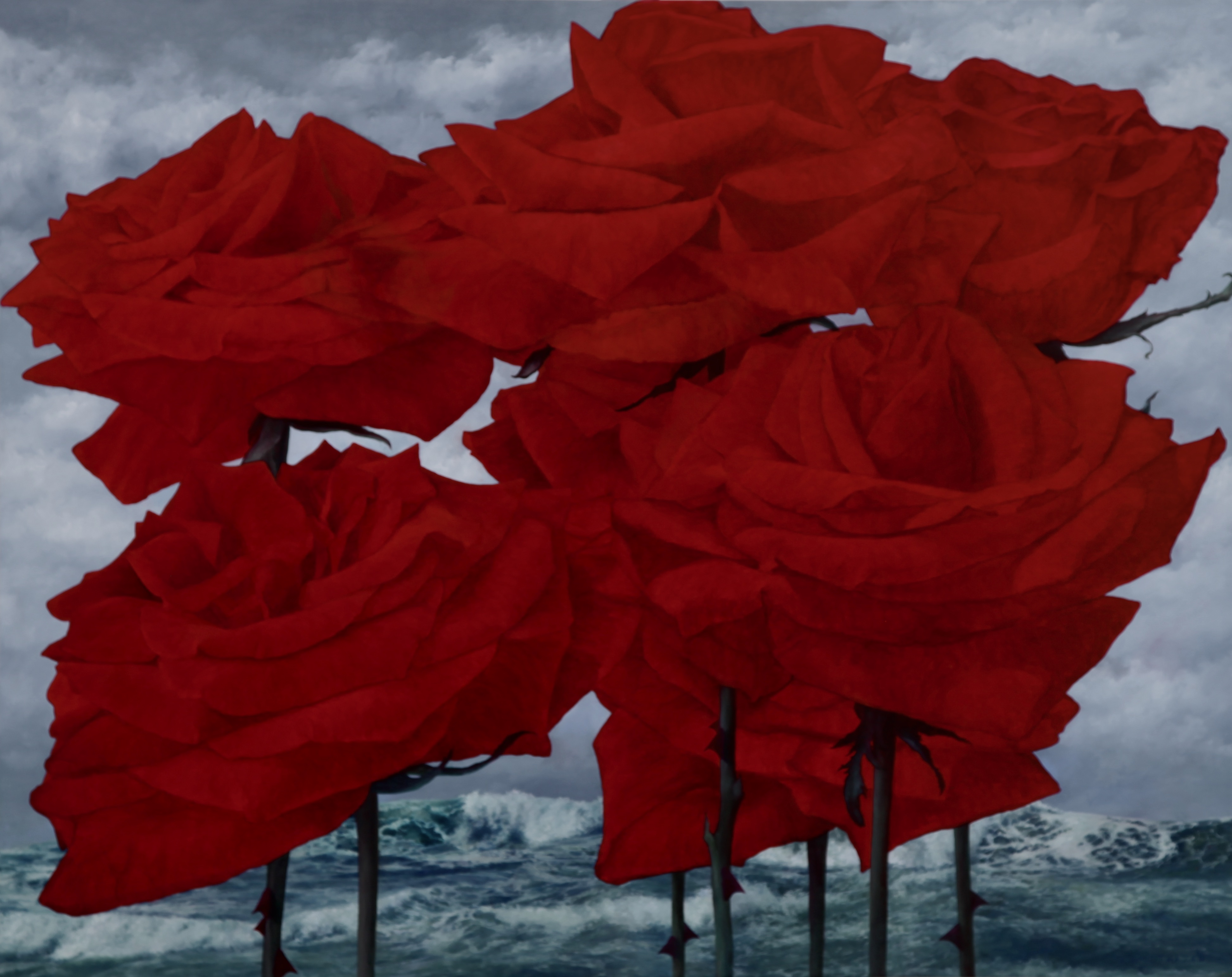 7 RED ROSES, SEA